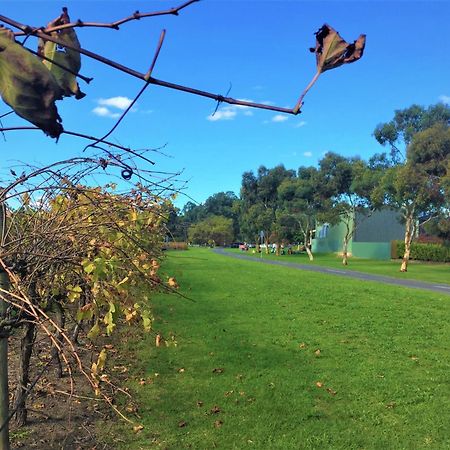 McLaren Vale Studio Apartments Esterno foto