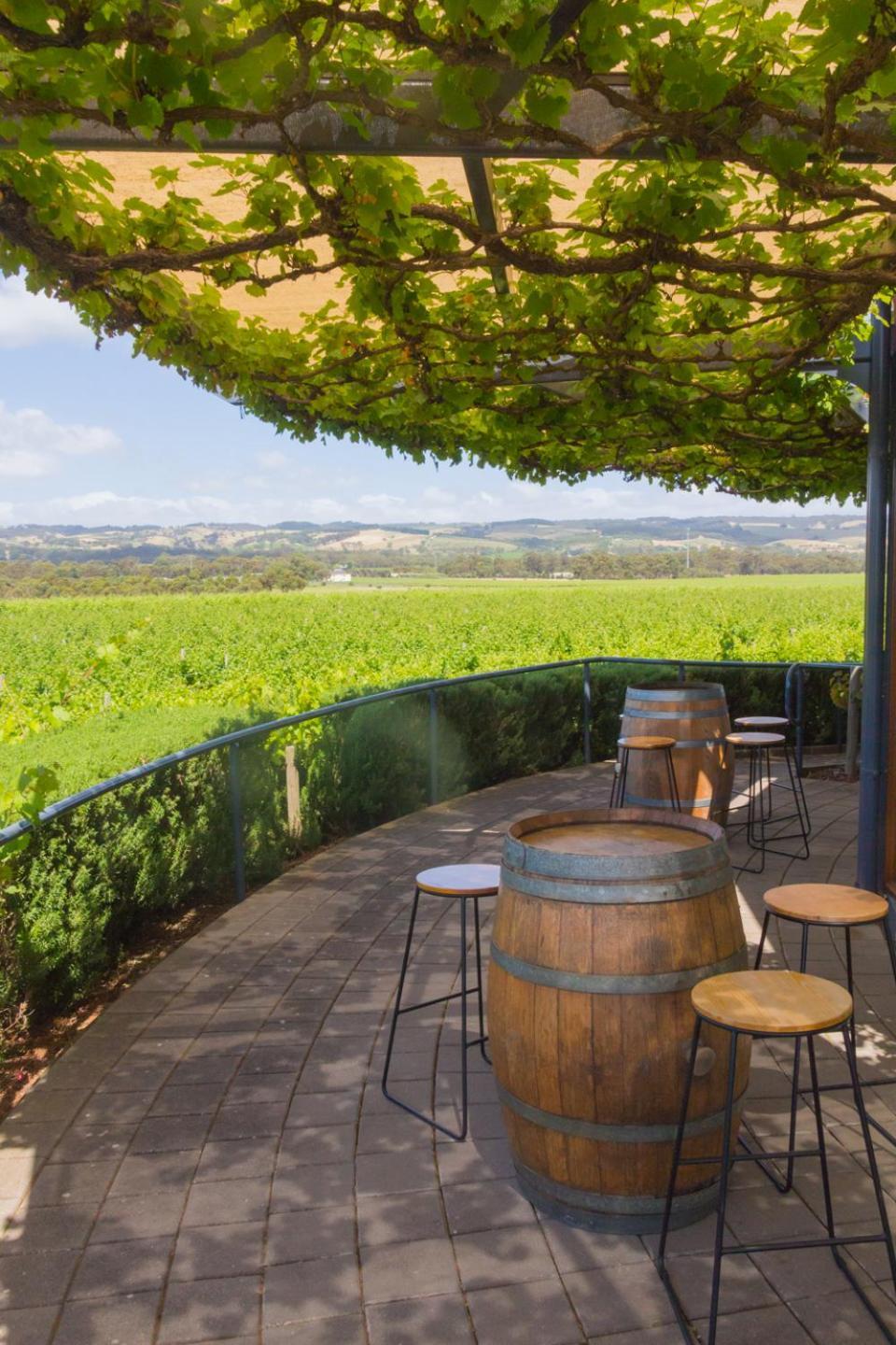 McLaren Vale Studio Apartments Esterno foto
