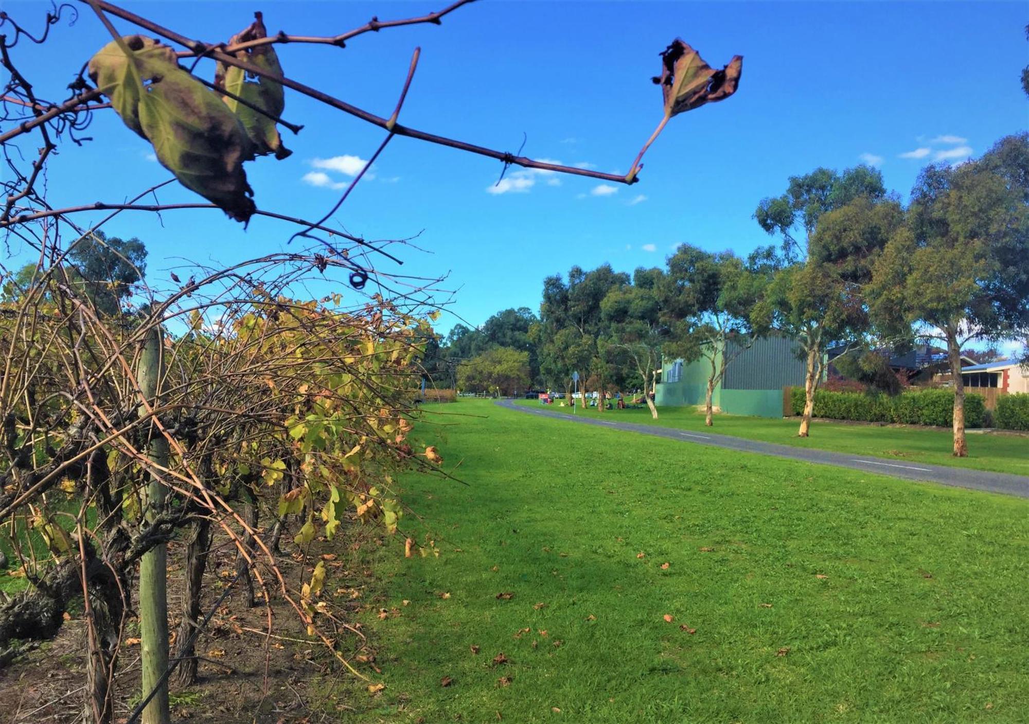 McLaren Vale Studio Apartments Esterno foto